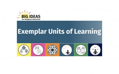 FAQs on using the exemplar units